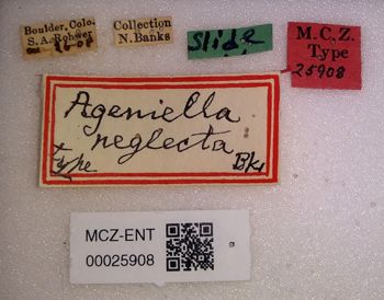 Media type: image;   Entomology 25908 Aspect: labels